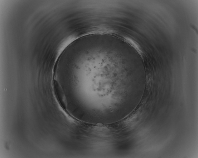 X0000093171103200709261523