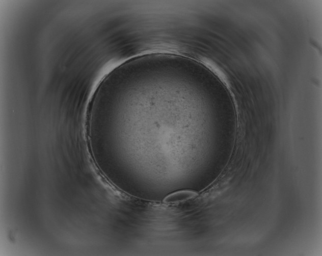 X0000093171104200709261523