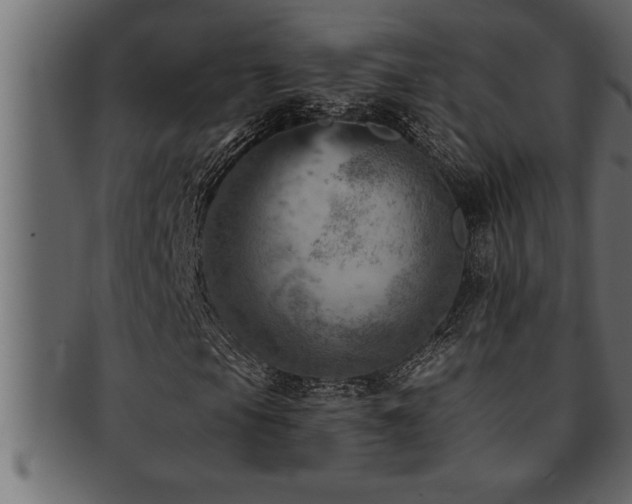 X0000093171105200709261522