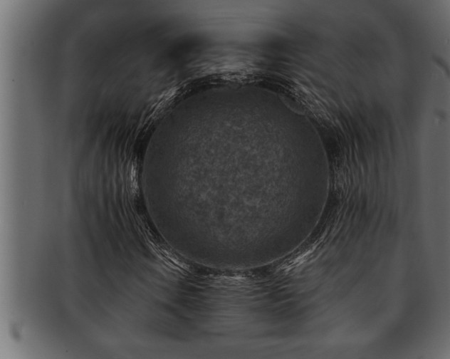 X0000093171106200709261522