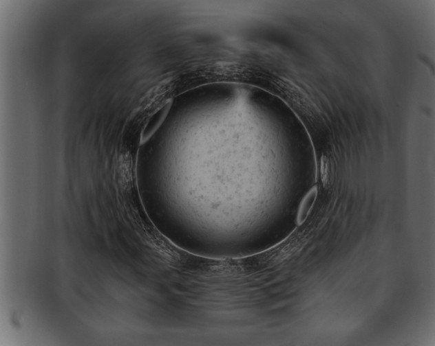 X0000093171107200709261522