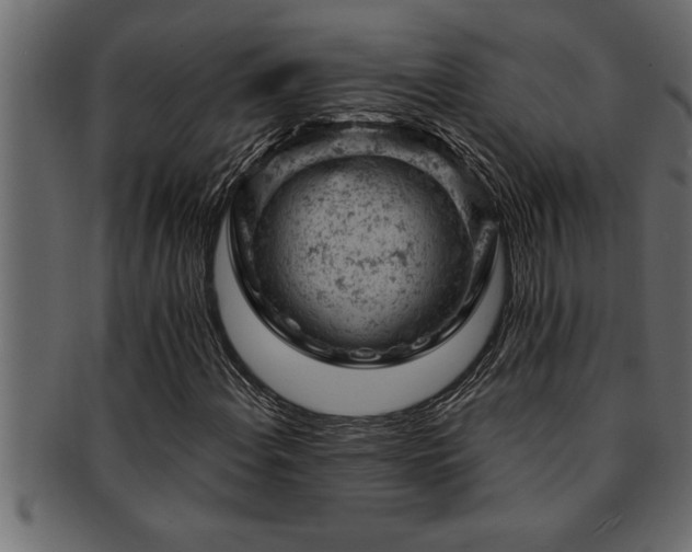 X0000093171108200709261523