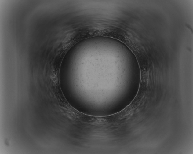 X0000093171109200709261523