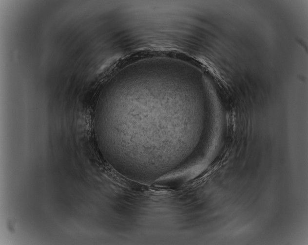 X0000093171110200709261523