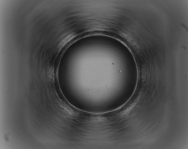 X0000093171113200709261523