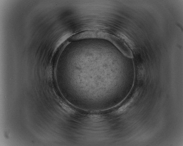 X0000093171114200709261523
