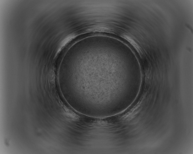 X0000093171115200709261523