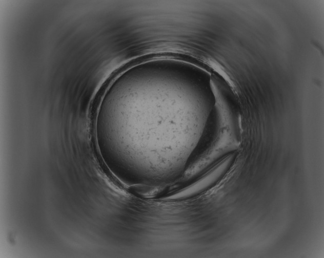 X0000093171116200709261523