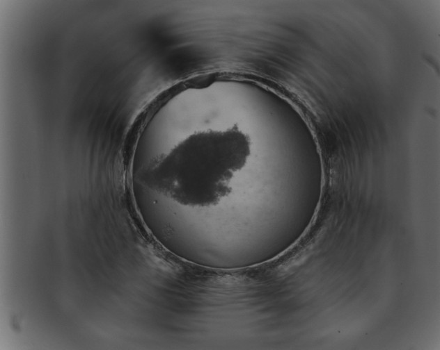 X0000093171117200709261523