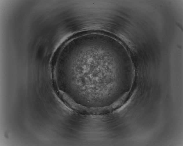 X0000093171118200709261523