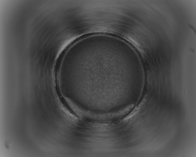 X0000093171120200709261523