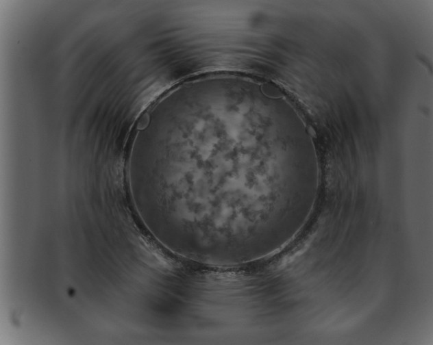 X0000093171121200709261523