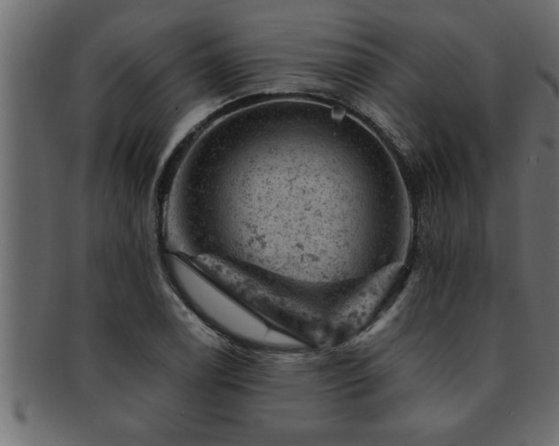 X0000093171122200709261523