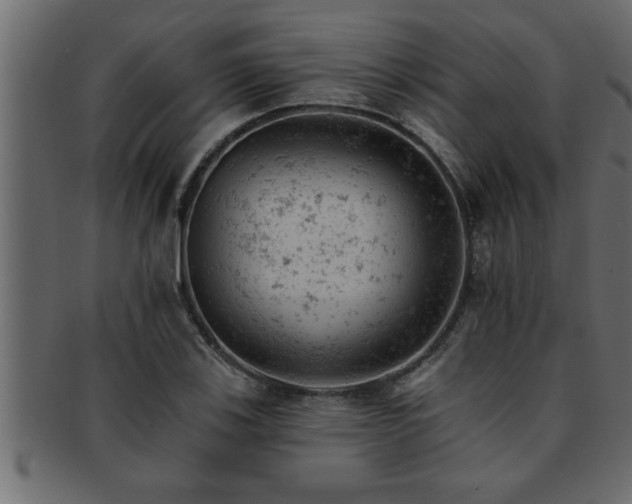 X0000093171123200709261523