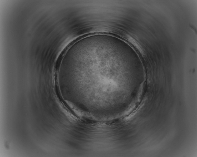 X0000093171124200709261523