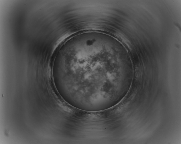 X0000093171125200709261523