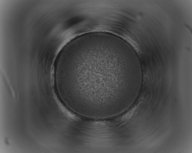 X0000093171126200709261523