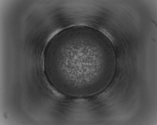 X0000093171127200709261523