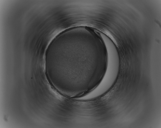 X0000093171132200709261523