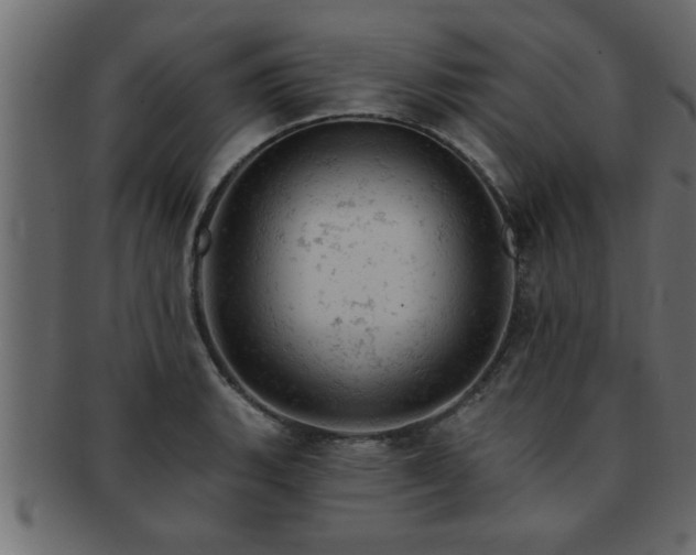 X0000093171135200709261523