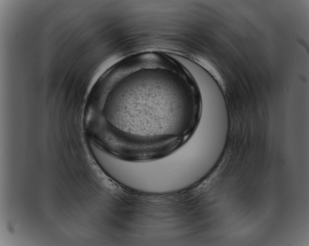 X0000093171138200709261523