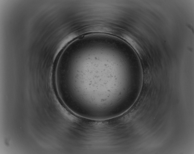 X0000093171139200709261523