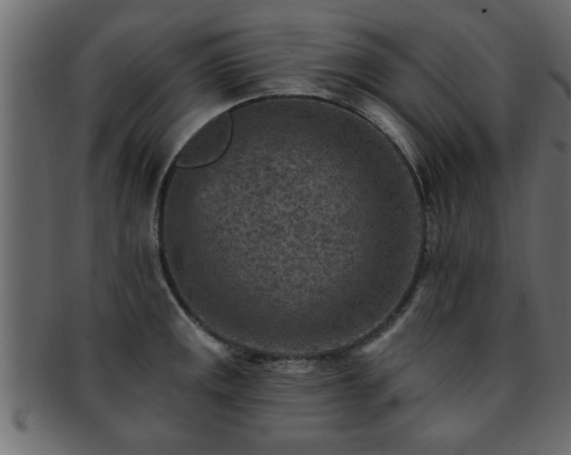 X0000093171141200709261523