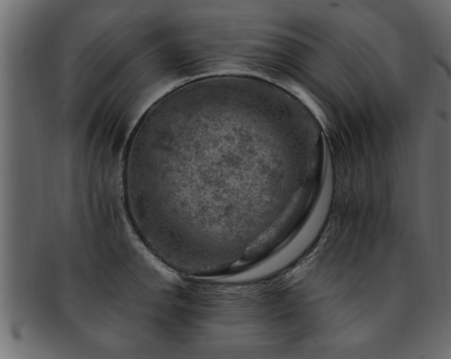 X0000093171142200709261523