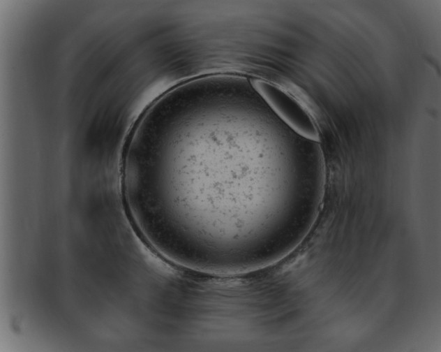X0000093171143200709261523