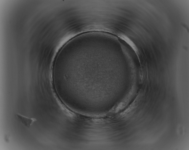 X0000093171144200709261523