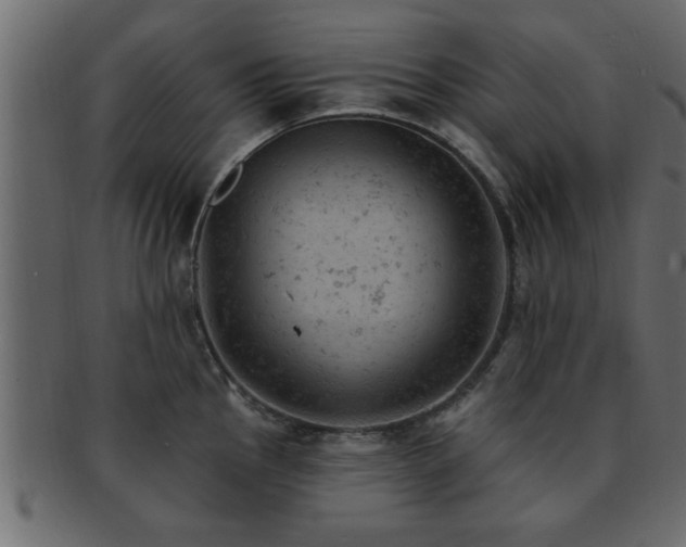 X0000093171145200709261523