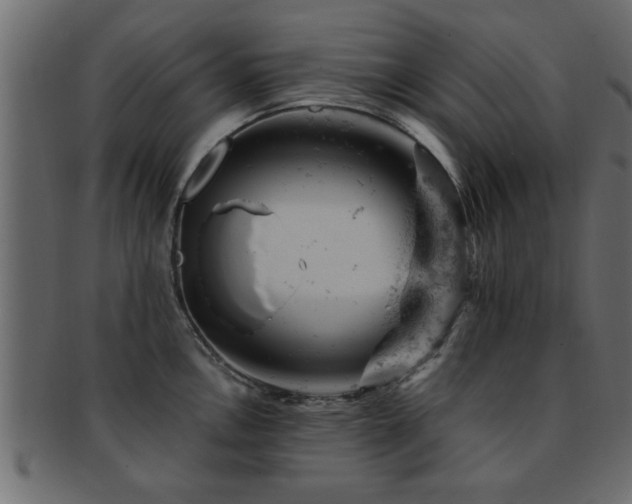 X0000093171146200709261523