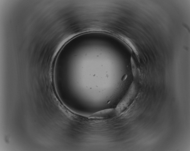 X0000093171148200709261523
