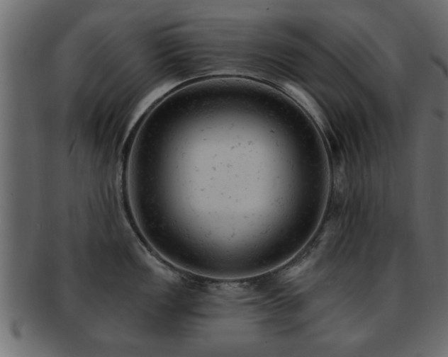 X0000093171149200709261523