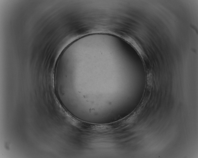 X0000093171150200709261523