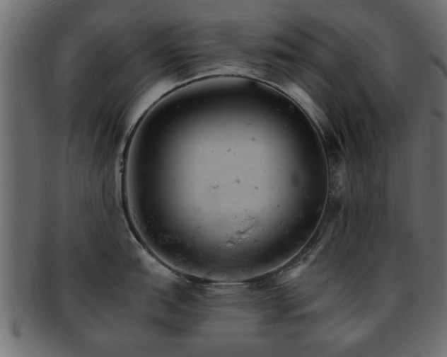 X0000093171151200709261523