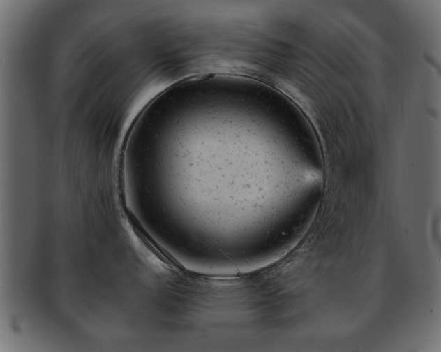 X0000093171152200709261523