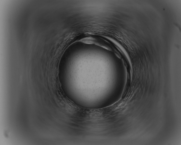 X0000093171153200709261522