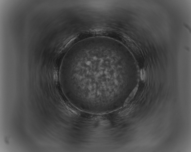 X0000093171155200709261522