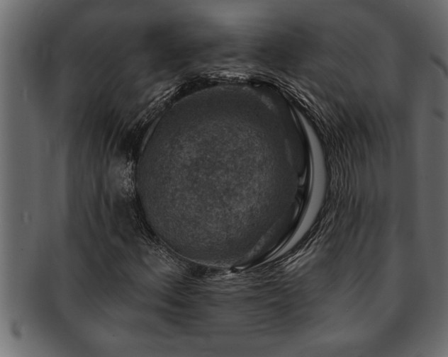 X0000093171156200709261522