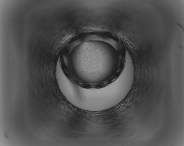 X0000093171157200709261522