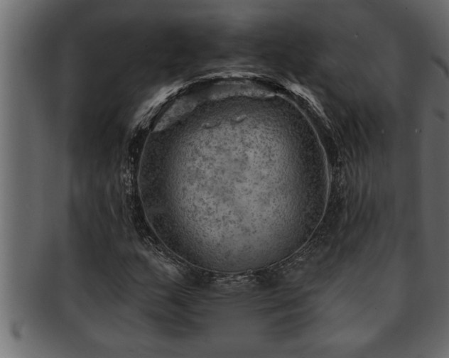 X0000093171159200709261522