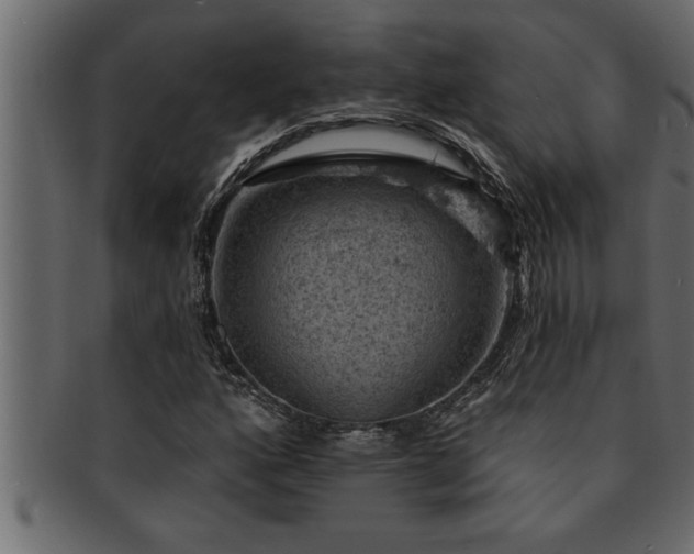 X0000093171160200709261522