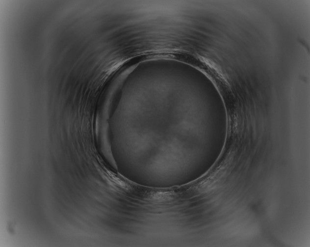 X0000093171161200709261522