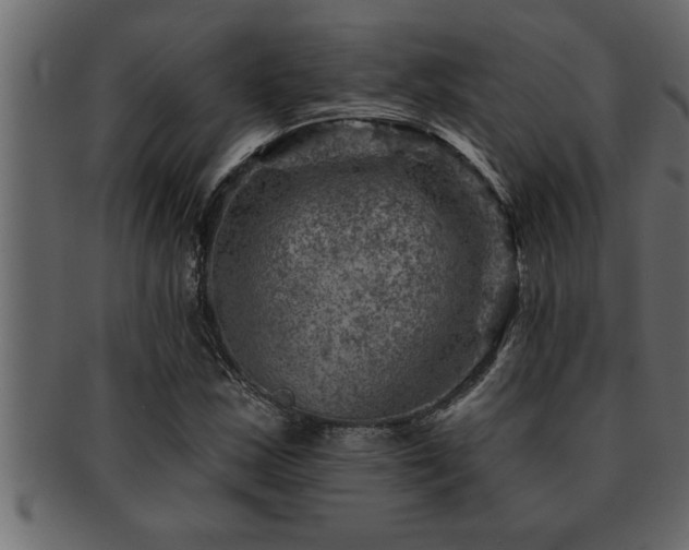 X0000093171163200709261522