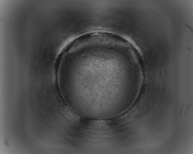X0000093171167200709261522