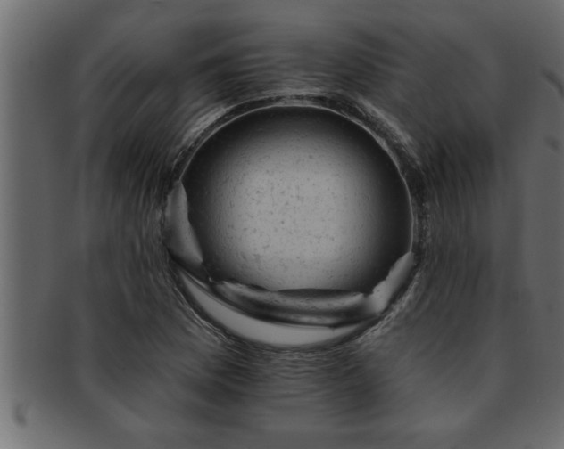 X0000093171169200709261522