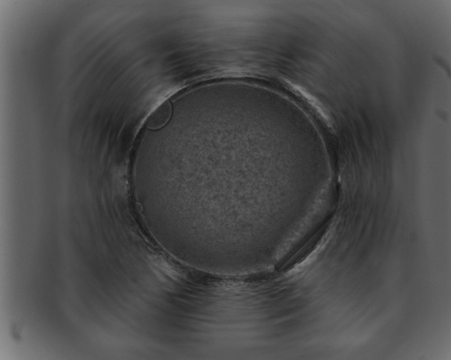 X0000093171170200709261522