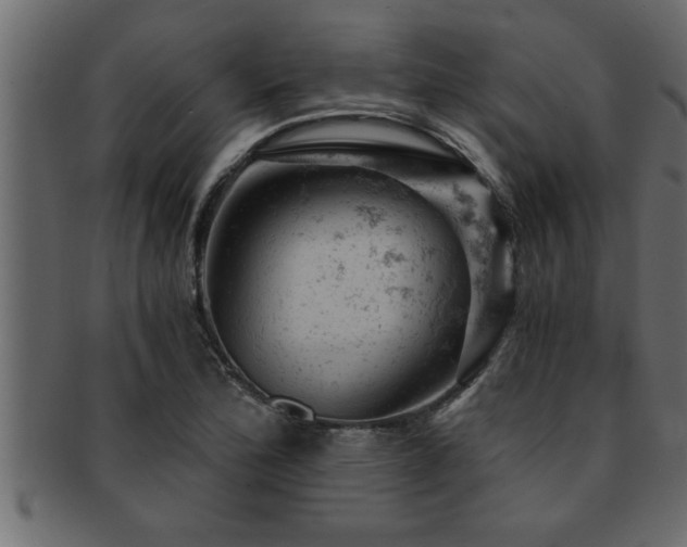 X0000093171172200709261522