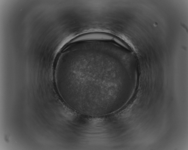 X0000093171173200709261522